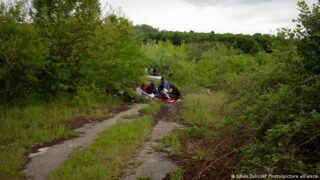 Migration
