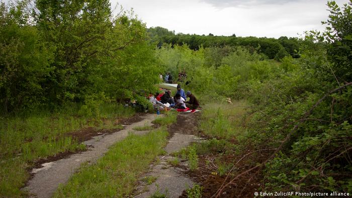 Migration