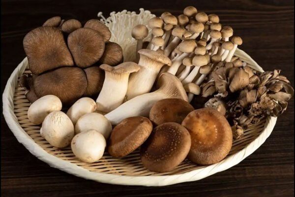 کھمبیاں کھائیے، ڈپریشن بھگائیے