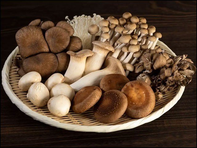 Mushrooms