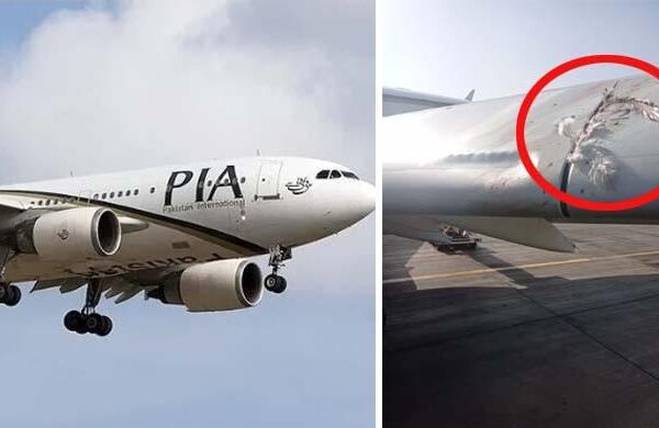 ائیرپورٹس پر پروازوں سے پرندے ٹکرانے کی بڑی وجہ سامنے آگئی