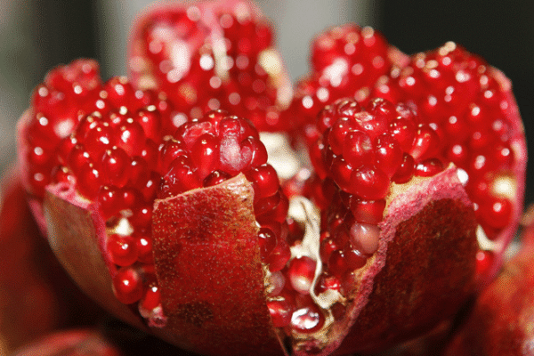 انار کے طبی فوائد بے شمار