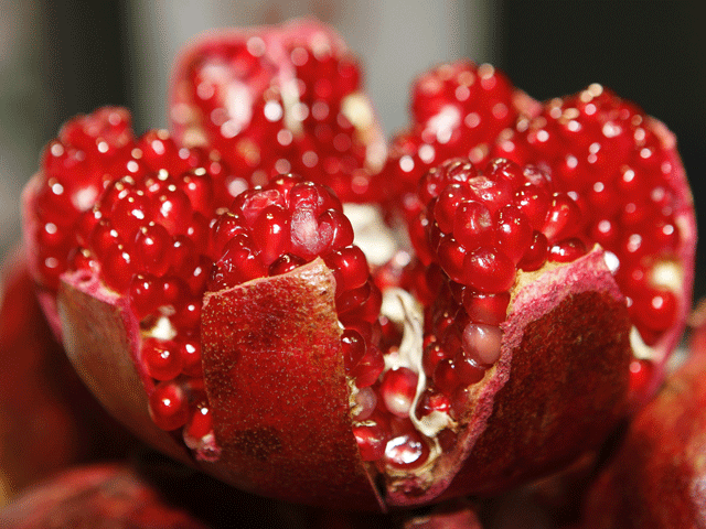 Pomegranate