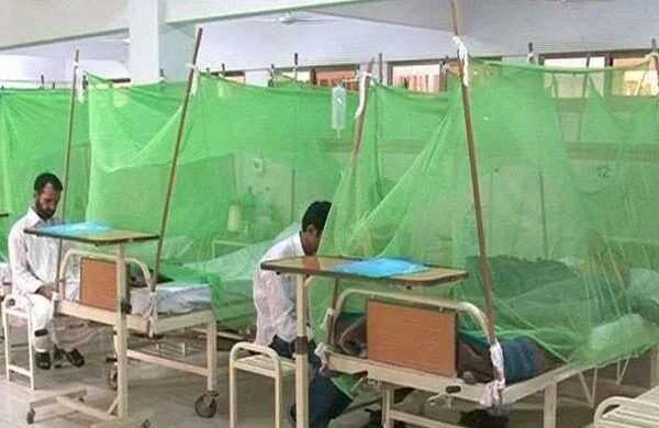 لاہور میں ڈینگی وبا کی شکل اختیار کر گیا