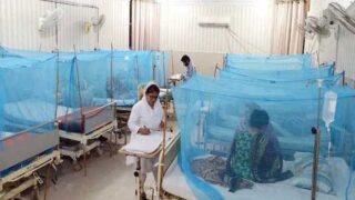 Dengue Patients