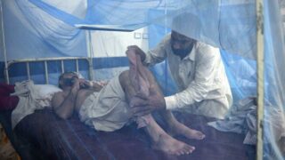 Dengue Patients