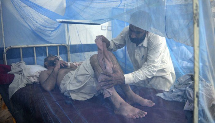 Dengue Patients