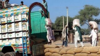 Indian Wheat Shipments