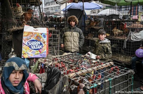 افغانستان کا افراتفری سے بھرا سال اور غیر مستحکم مستقبل