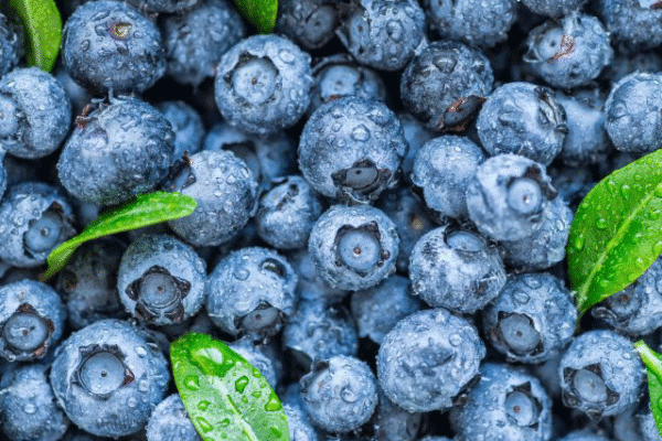 بلیو بیری دل کے لیے مفید قرار