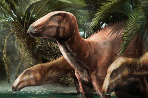 اٹلی میں 11 ڈائنوسار کا پورا ریوڑ دریافت