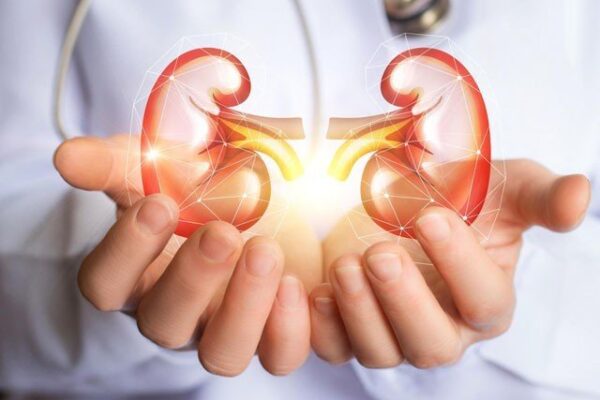 گردوں کی خرابی سے کیسے بچا جائے؟ 11 احتیاطی تدابیر