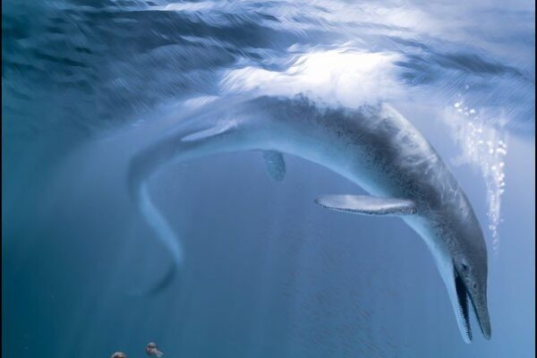 ڈائنوسار سے بھی قدیم، دیوقامت سمندری جانور دریافت