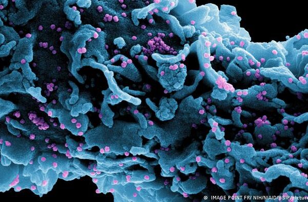 فرانس میں کورونا کا نیا ویریئنٹ سامنے آ گیا