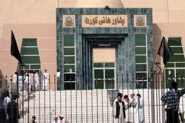 نیب مالم جبہ اور بلین ٹری سونامی کی انکوائری رپورٹ جمع کرائے، پشاور ہائیکورٹ