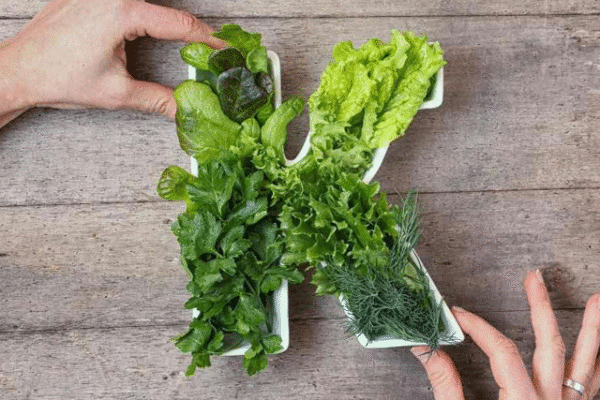 وٹامن کے اور دل کی بہتر صحت کے کے درمیان تعلق دریافت