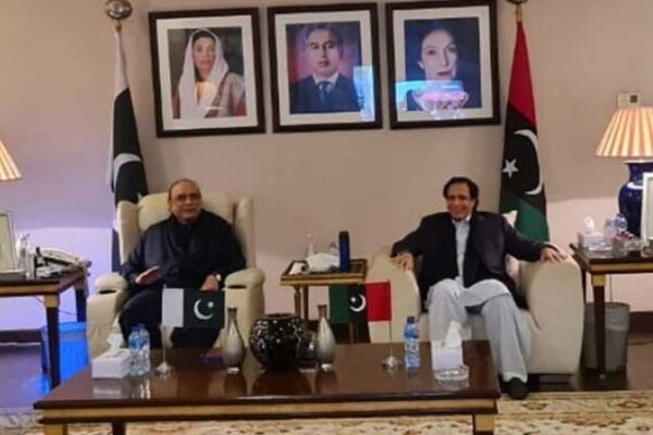 عدم اعتماد پر آصف زرداری کے مشورے سے لائحہ عمل طے کریں گے، چوہدری پرویز الہی