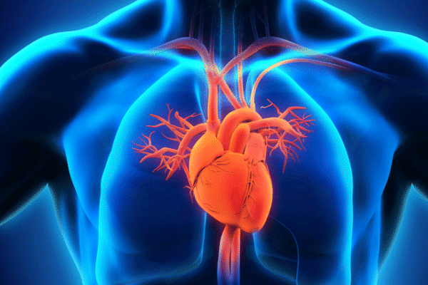 مصنوعی ذہانت نے ڈاکٹروں کی نظروں سے اوجھل قلبی امراض دریافت کر لیے