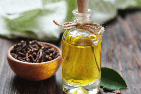 لونگ کے تیل کی مچھرمار خاصیت مزید مؤثر بنانے میں اہم پیش رفت