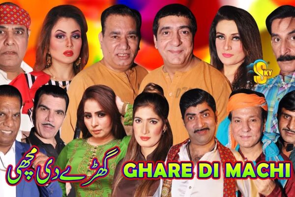 اسٹیج ڈرامے یا فحاشی کے اڈے