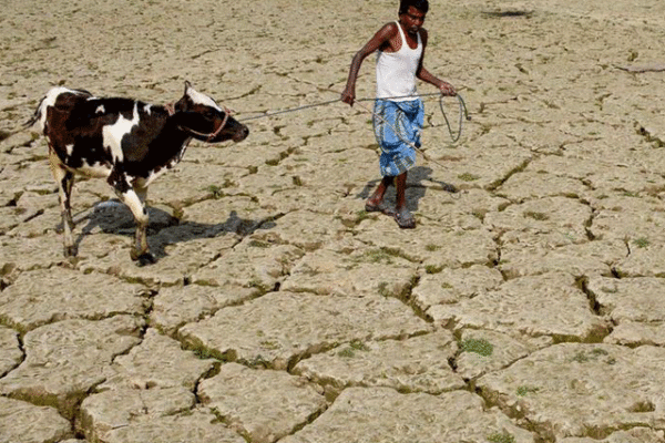 آب و ہوا میں تبدیلیوں کے مزید ناقابلِ تلافی نقصانات سامنے آ گئے