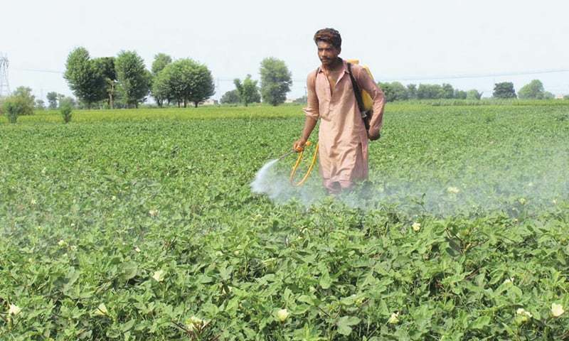 Farmers