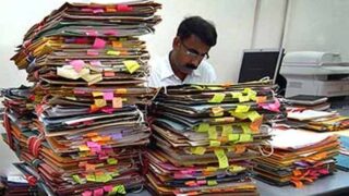 Government Employees