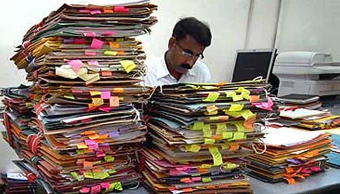 Government Employees
