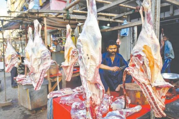 لمپی وائرس کی بیماری سے کراچی میں خوف