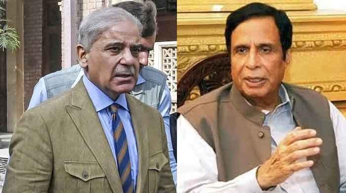 Shahbaz Sharif and Pervez Elahi