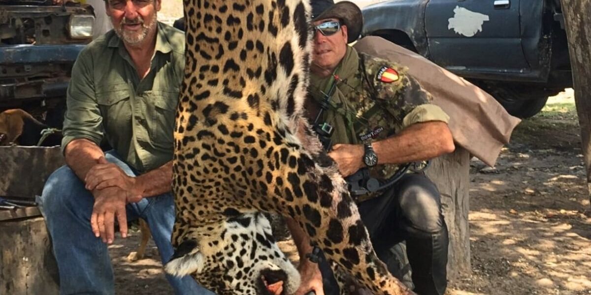 illegal-hunting-jaguars-bolivia-argentina-investigation