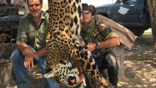 illegal-hunting-jaguars-bolivia-argentina-investigation