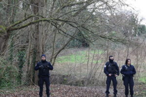 louis-murder-investigation-suspect-arrested