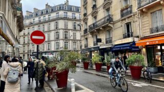 paris-garden-streets-public-opinion-vote