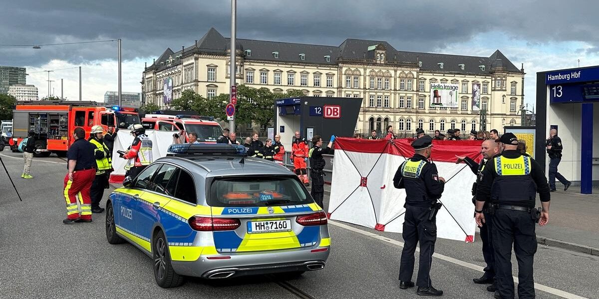 hamburg-train-station-knife-attack-injures-12