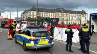 hamburg-train-station-knife-attack-injures-12