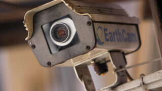 rawalpindi-ceo-fined-cctv-misuse-harassment