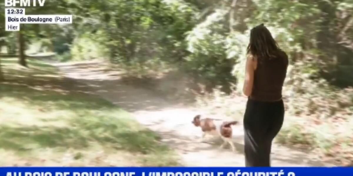 bfmtv-journalists-save-woman-bois-boulogne-attack