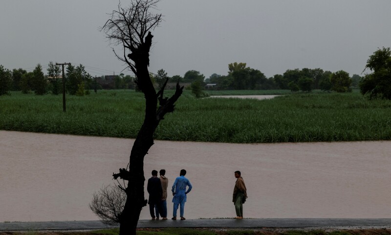 intense-floods-punjab-affect-millions-livestock