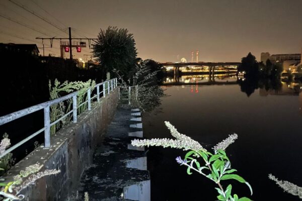 سیین کے کنارے چواسی-لی-رائے میں قتل: رات کی تاریکی، عارضی ملاقاتیں اور غربت کی داستان