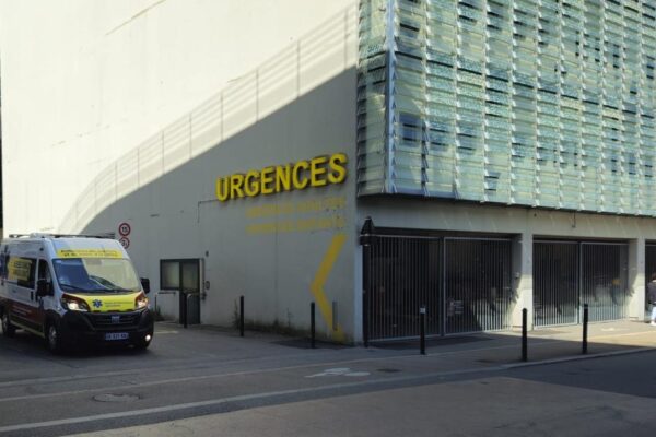 نانتے کے قریب خاتون کو 20 نیزہ ماروں سے ہلاک کرنے والا سابق شوہر درخت سے لٹکا ہوا پایا گیا