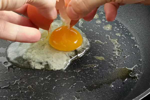 فرانس میں انڈوں کی قلت: کیا یہ واقعی صحت کے لیے مفید ہیں؟