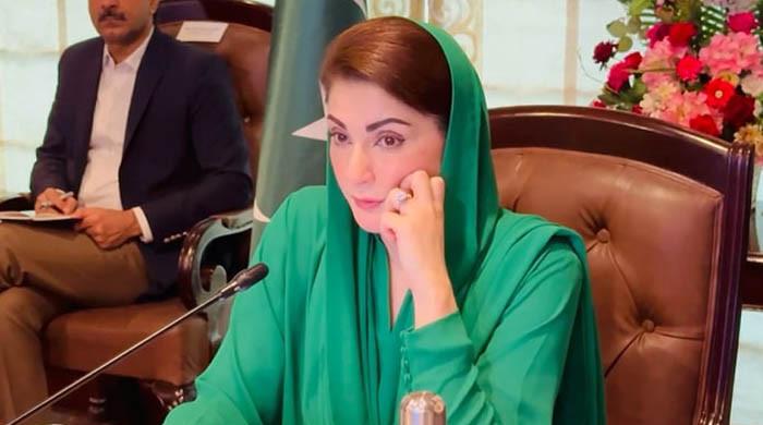 Punjab CM Cancels Basant Festivities After Islamabad Blast