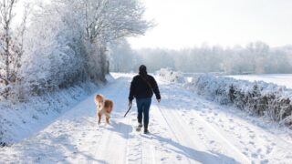 فرانس کے شمالی علاقوں اور پیرس میں برف باری، بارہ محکموں کے لیے اورنج الرٹ جاری