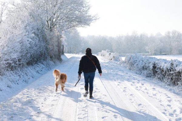فرانس کے شمالی علاقوں اور پیرس میں برف باری، بارہ محکموں کے لیے اورنج الرٹ جاری