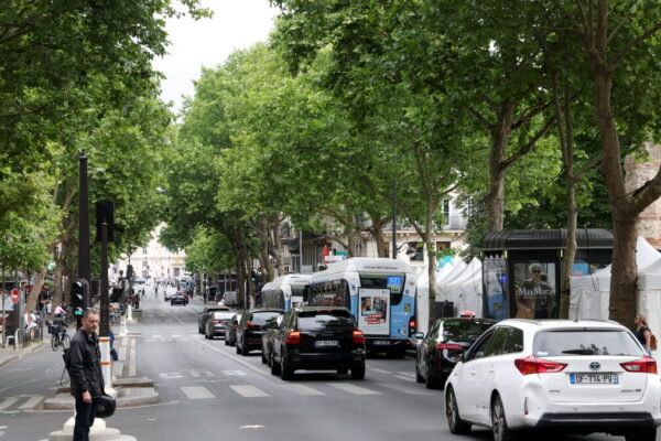 پیرس کے تاریخی بولے وارڈز کو سبزہ زار بنانے کا منصوبہ سیاسی تنازع کا شکار