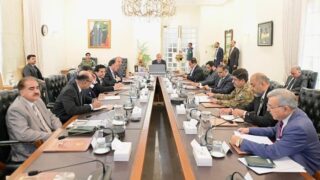 Pakistan avoided energy crisis amid Mideast war, PM says