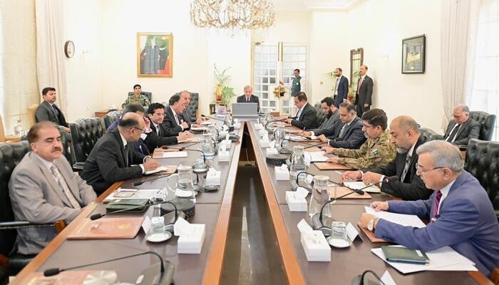 Pakistan avoided energy crisis amid Mideast war, PM says