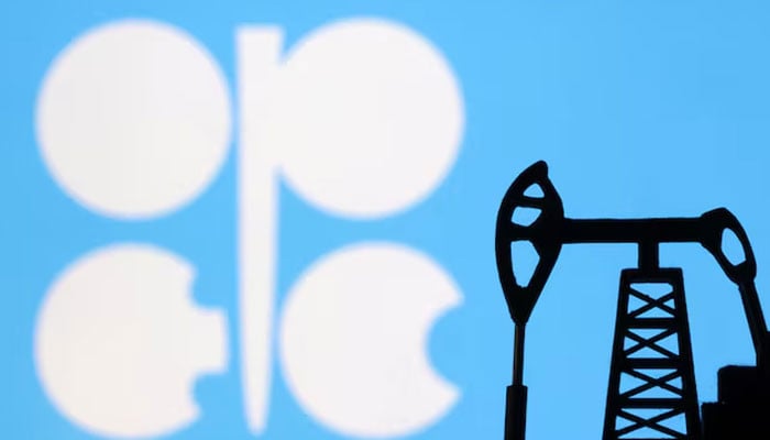 UAE Reviews Global Ties After Opec Exit, Rules Out More Pullouts