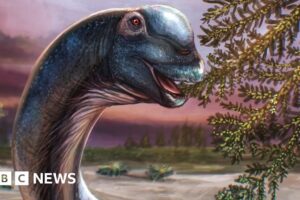 Giant dinosaur Nagatitan identified from Thai fossils